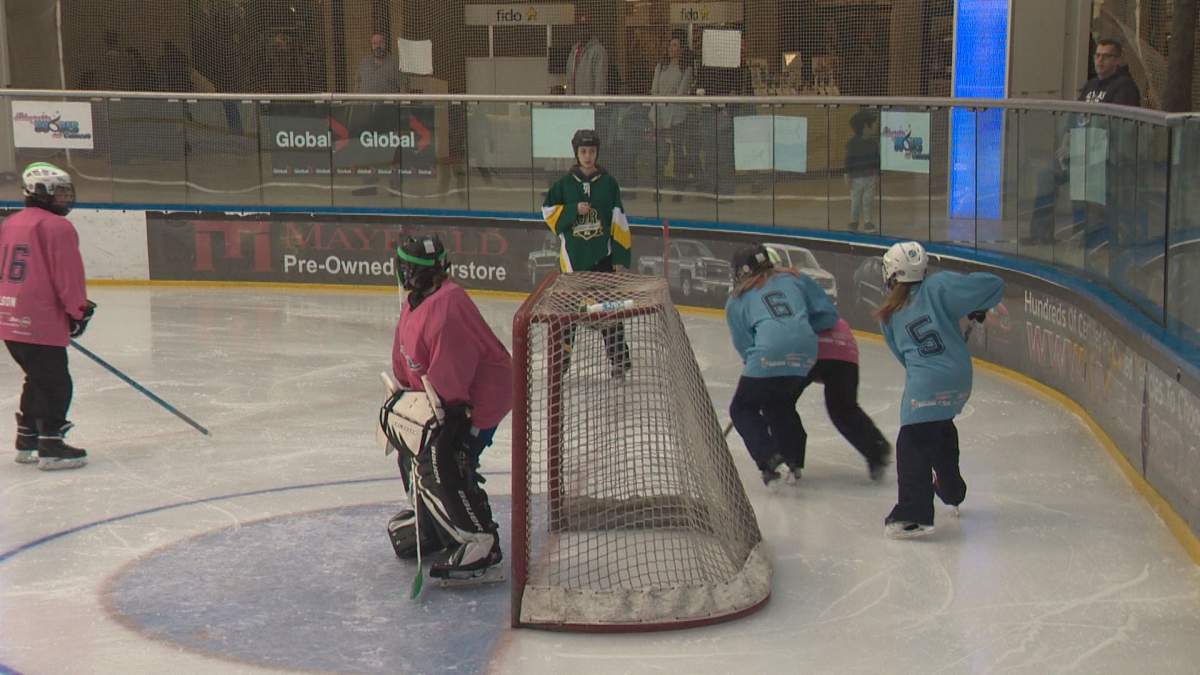 Annual ringette tournament scores big bucks for Edmonton’s Cross Cancer Institute - image