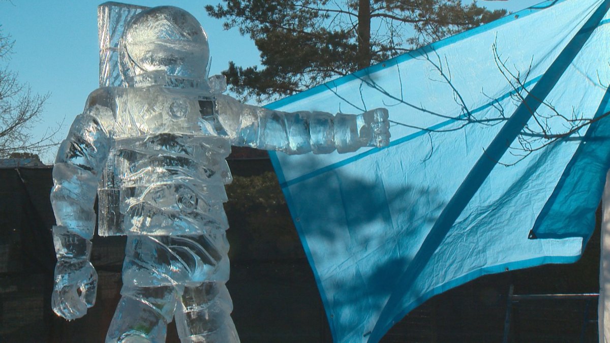 An ice sculpture at the Ice on Whyte festival .