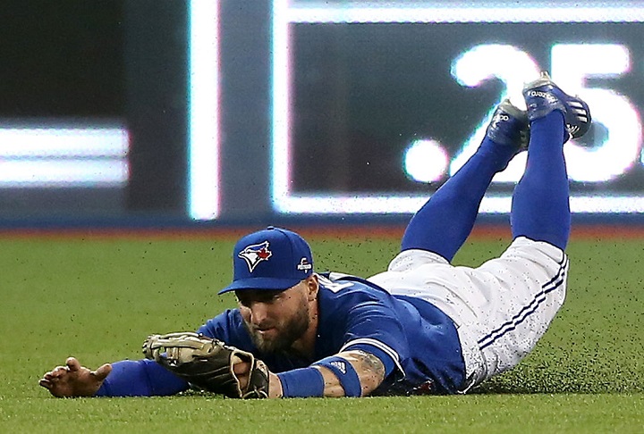 Blue Jays fan made a diving catch