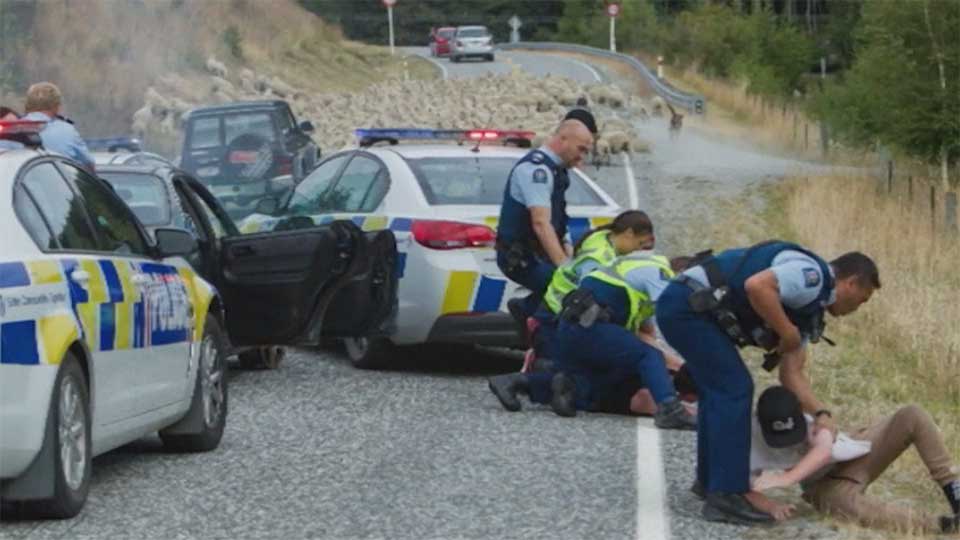 A 90 minute car pursuit in New Zealand Friday ended when the speeding suspects had to hit the brakes for a flock of sheep.