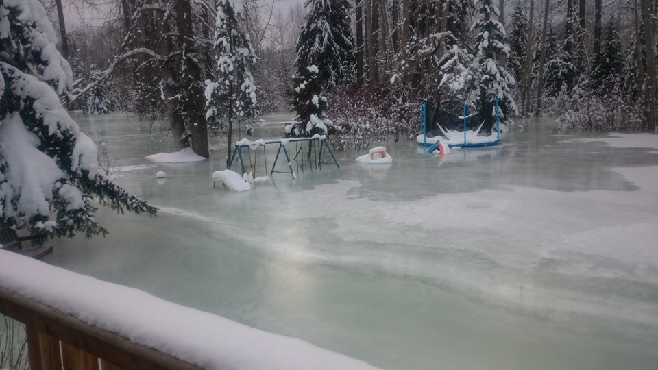 Credit: Elsbeth Fielding.