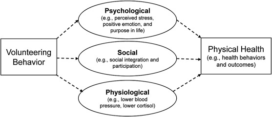Potential explanations for how volunteering may affect physical health outcomes. Harvard T.H. Chan School of Public Health.