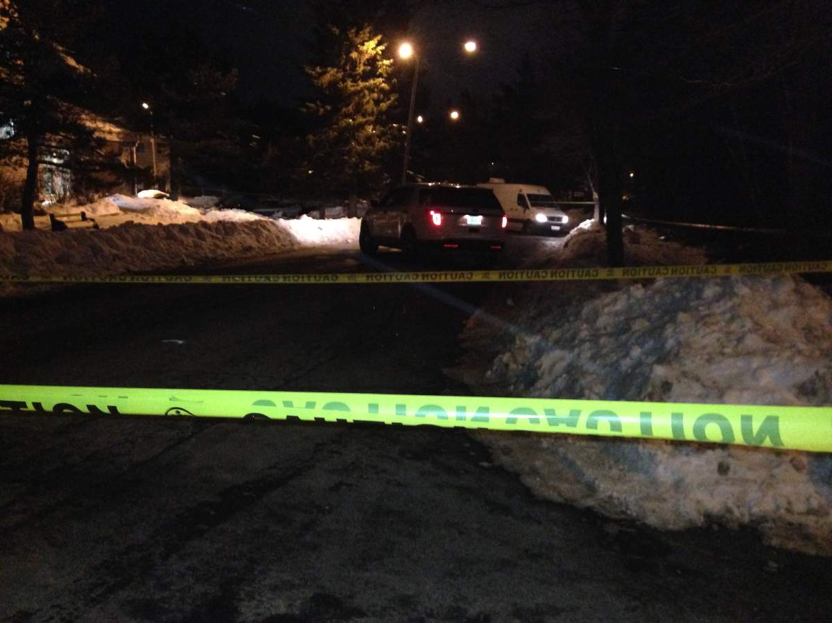 Police continue to investigate a homicide on Harlington Crescent.