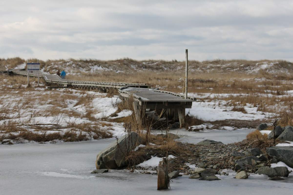 Work to repair the boardwalk at Conrad's Beach is now underway.