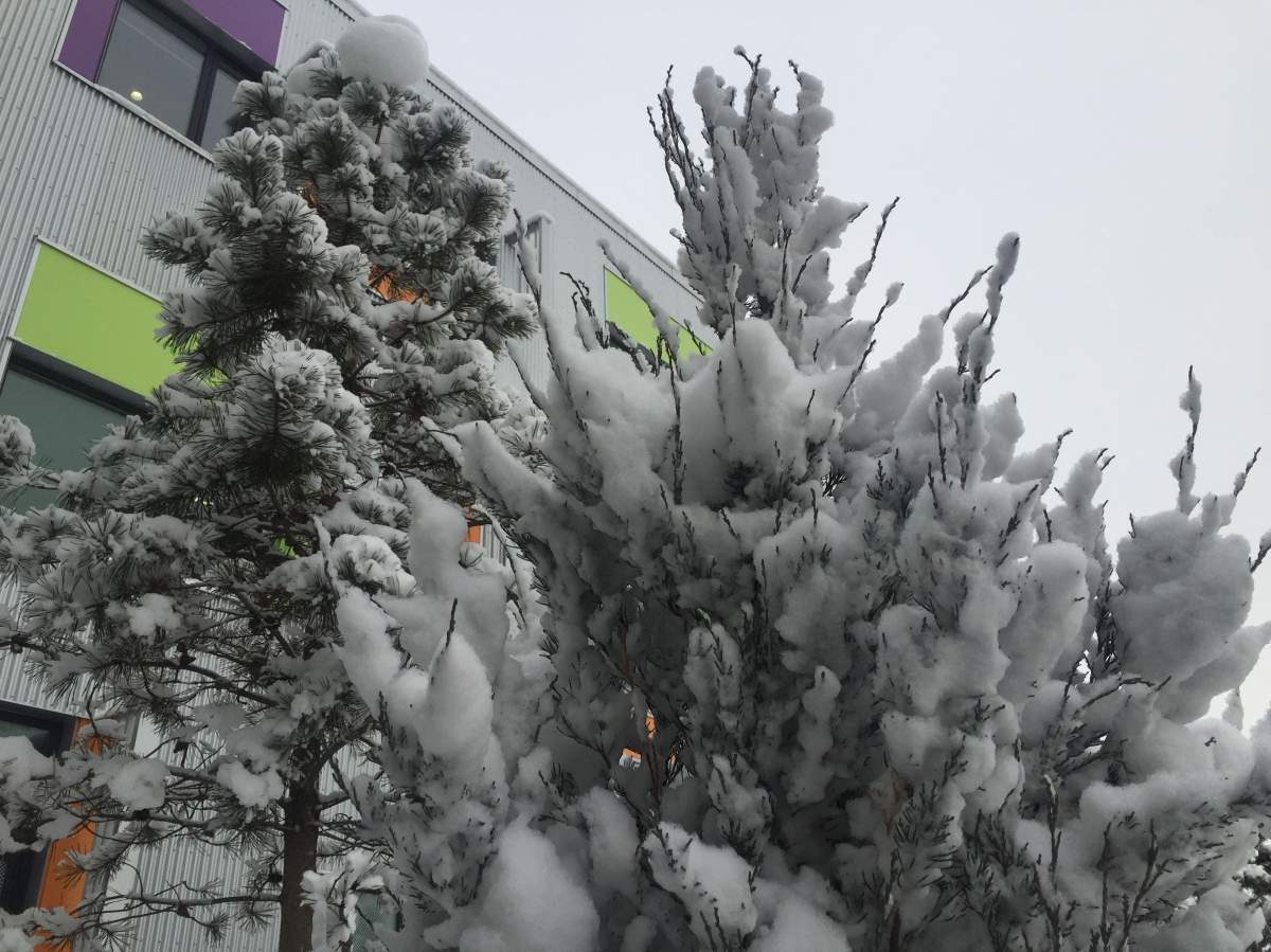 Heavy snow fell in areas of east Edmonton Wednesday, while the rest of the city was left out.