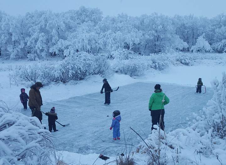 Jan. 4: This Your Saskatchewan photo was taken by Micheline Creary near Major, Sask.