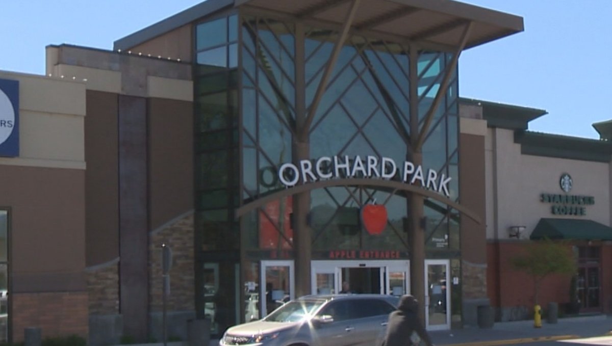 Man with knife arrested at Orchard Park Mall - image