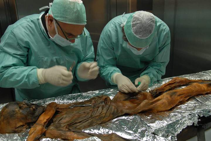 Two scientists take a sample from the Iceman in November 2010.