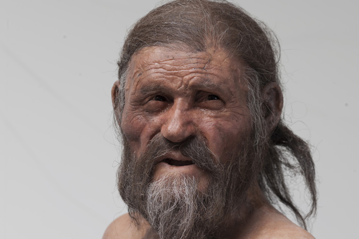 A reconstruction of the iceman found in the Alps in 1991.