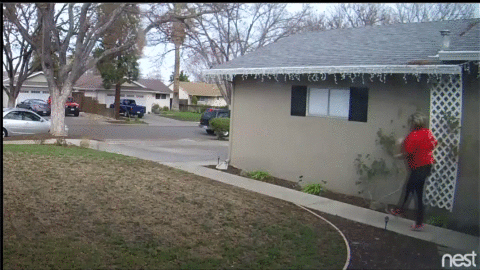 Surveillance footage showed the alleged thief, in a red shirt, prance away from the home.