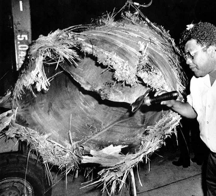 A U.S. Customs inspector examines the largest piece of the downed Skylab at the San Francisco International Airport two weeks after it was found in Australia.