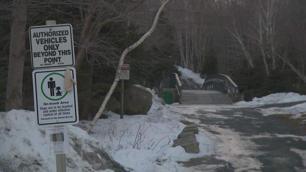 The cats were found inside a garbage bag near this bridge over the Shubenacadie Canal in Shubie Park on Jan. 21.