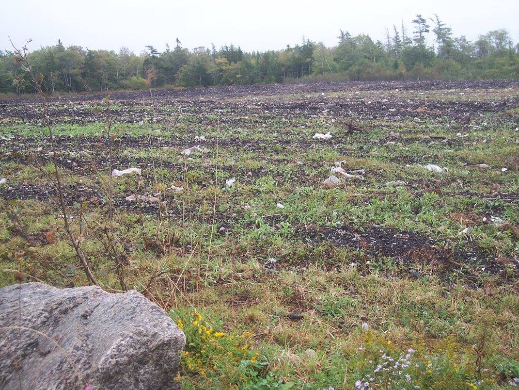 Compost is seen here spread on the site of an old sawmill in Yarmouth. 