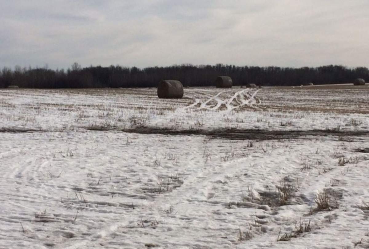 Can you speak Prairies? Here is your guide to deciphering the dialect - image