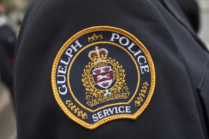 Guelph police investigate reports of raw chicken found on city trails