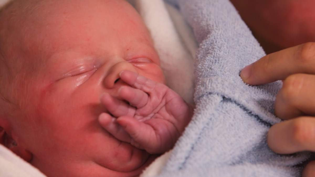 The hassles of being a leap year baby - image