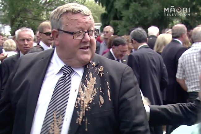 New Zealand man pleads guilty to throwing goop at lawmaker - image