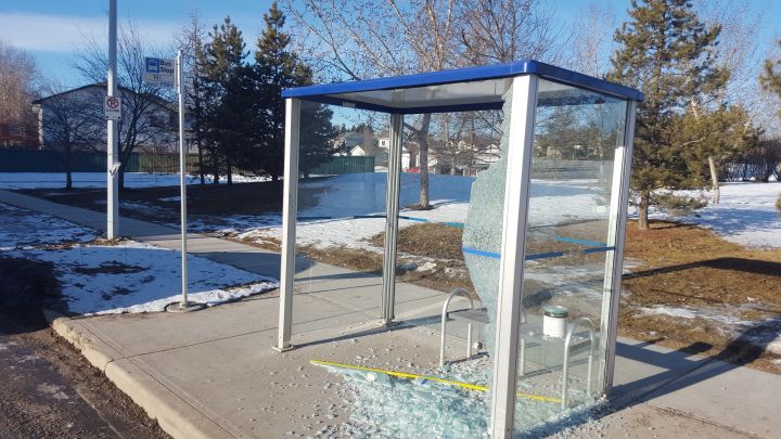 A bus shelter with its glass shattered at 50 Street and 140 Avenue.