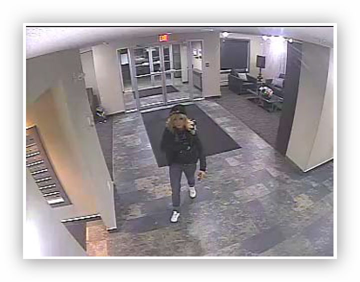 Surveillance photos captured by the security cameras at the Monarch in McKenzie Towne show thieves suspected of stealing furniture from the building’s lobby on Feb. 21, 2016 at around 4 a.m. 