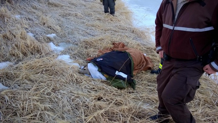 On Feb. 22, Swift Current firefighters rescued a deer that was drowning in the icy Swift Current Creek, then warmed her with blankets and jackets. She was then released back into the wild.