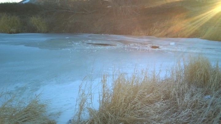 On Feb. 22, Swift Current firefighters rescued a deer that was drowning in the icy Swift Current Creek, then warmed her with blankets and jackets. She was then released back into the wild.