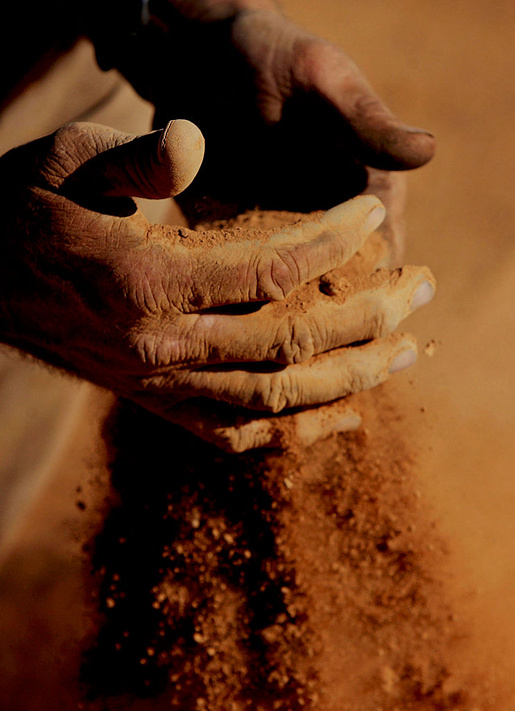 Gold and 3 other weird things people are eating - image