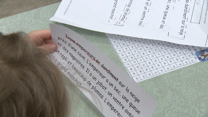 More students in Saskatoon public and Catholic schools are enrolled in French immersion, in part due to a renewed community interest.
