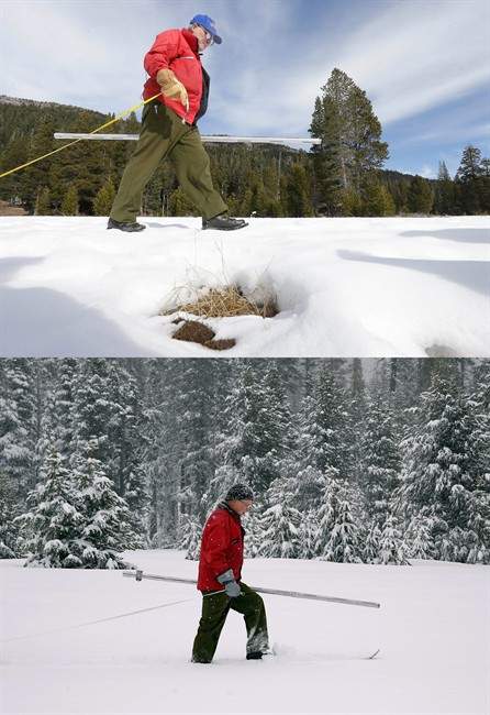The top photo in this combo shows Frank Gehrke, chief of California Cooperative Snow Surveys Program for the Department of Water Resources walking past some weeds emerging from the snow pack as he conducts the second snow survey of the season at Echo Summit, Calif., Thursday, Jan. 29, 2015. The lower photo shows Gehrke a year later as he performs the second manual snow survey of this season on Tuesday, Feb. 2, 2016.