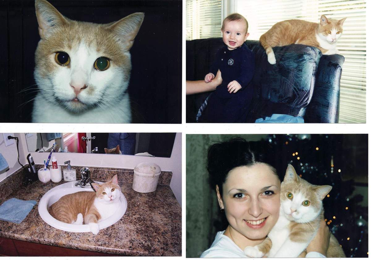 Goose with the Bartha family before he went missing. Credit: Christina Bartha