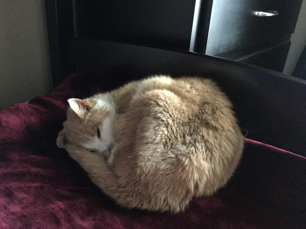 Credit: Christina Bartha