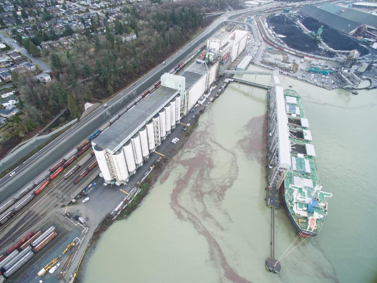 Oil spill not behind port picture mystery in North Vancouver - image