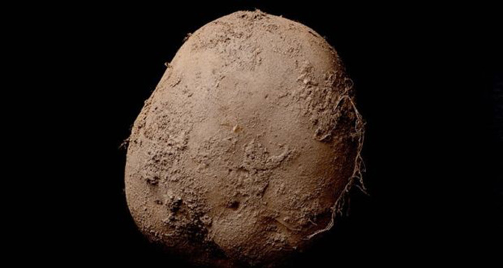 This photo, dubbed "Potato #345,” by Irish photographer Kevin Abosch sold for over $1 million. 