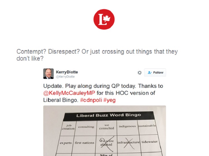 ‘Disrespectful’ Bingo tweet used to inspire donations in Liberal fundraising letter - image