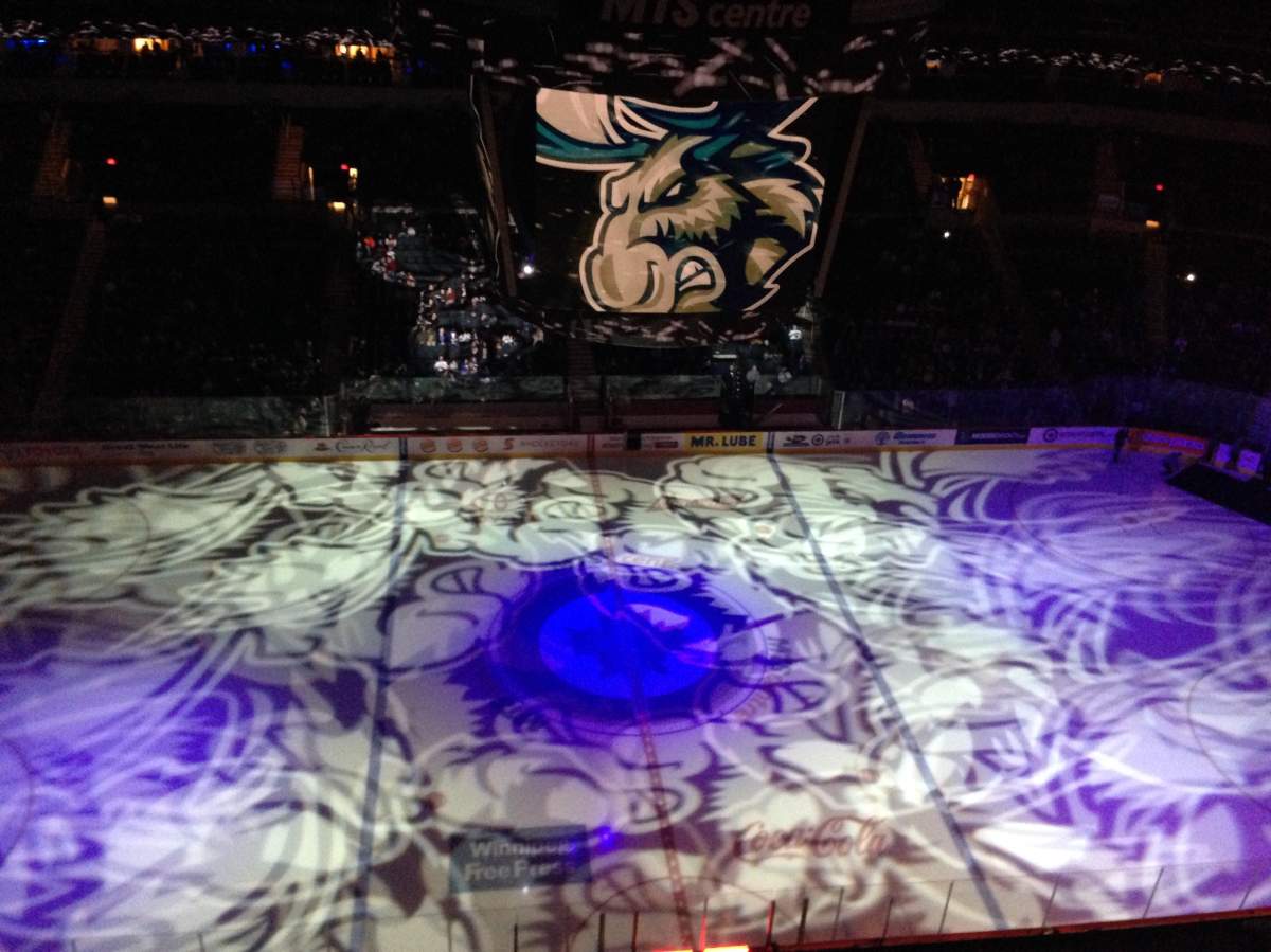 Manitoba Moose make pair of roster moves - image