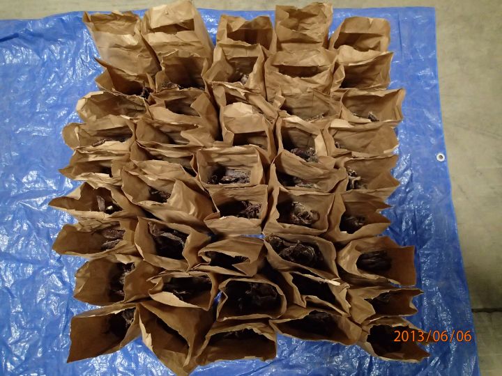 Bags of dried moose meat seized by Alberta Fish and Wildlife officers.
