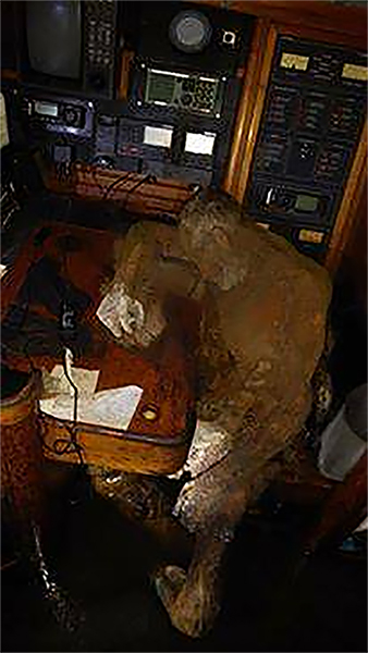 Mummified body of sailor found in adrift yacht off Philippines - image