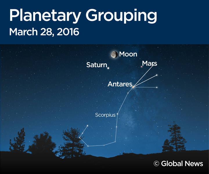 Astro Corner: What’s up in the March sky - image