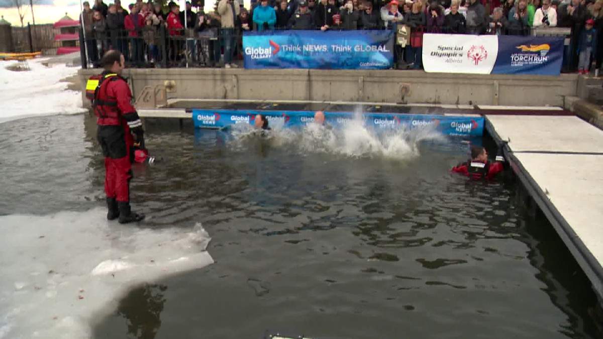 Calgarians take icy dip during annual Polar Plunge - image