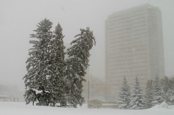 Feb. 20: This Your Saskatchewan photo was taken by Ian Robertson in Saskatoon.