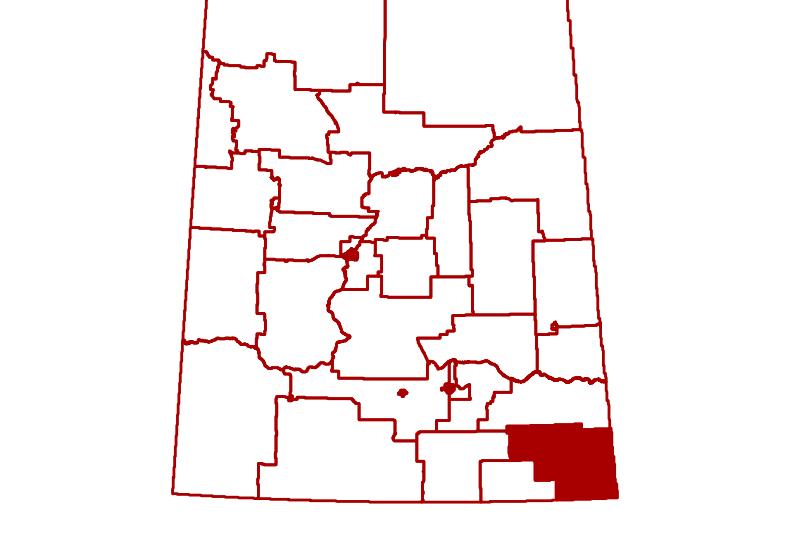 A look at Cannington, one of the 61 provincial electoral districts in the 2020 Saskatchewan election.