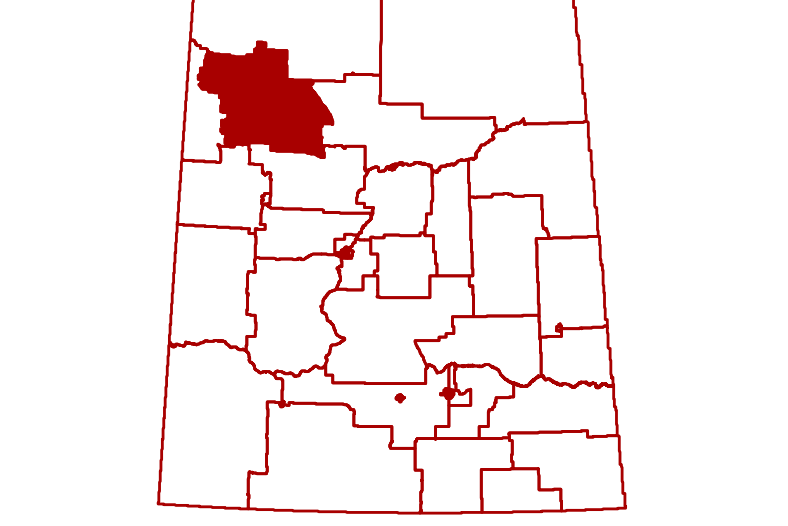 A look at Meadow Lake, one of the 61 provincial electoral districts in the 2020 Saskatchewan election.