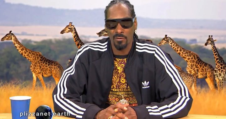 Snoop Dogg narrating 'Planet Earth'? Online petition wants rapper to take  over - National 
