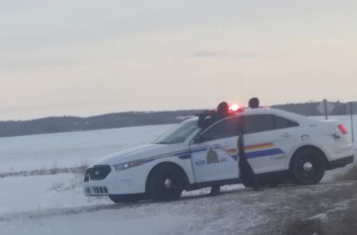 Witnesses tell Global News police officers could be seen with their guns drawn by a highway near St. Paul, Alta. on Feb. 29, 2016.