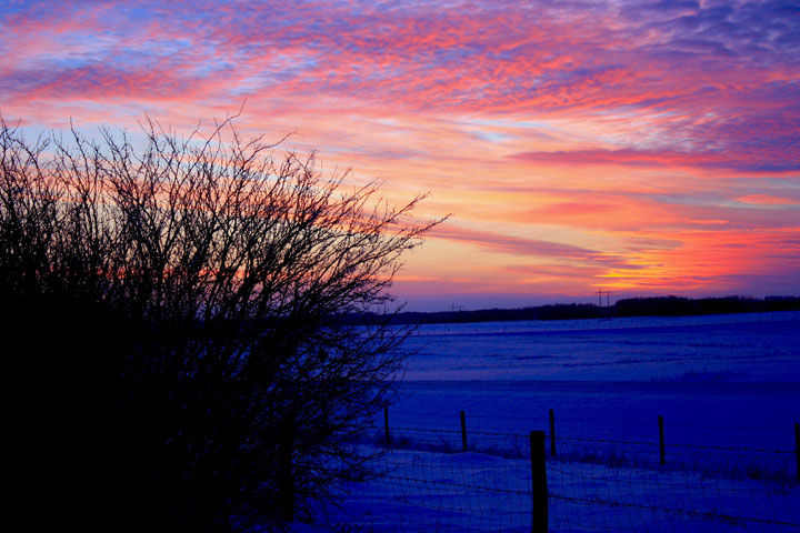Feb. 14: This Your Saskatchewan photo was taken by Ronald Chaplin near Floral.