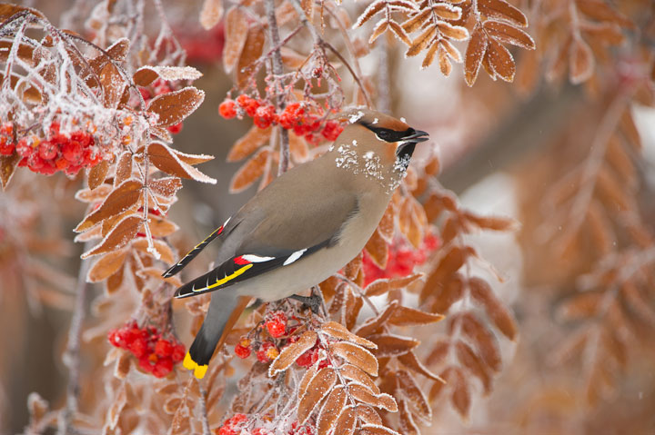 Feb. 28: This Your Saskatchewan photo was taken by Garfield MacGillivray at Quill Lake.