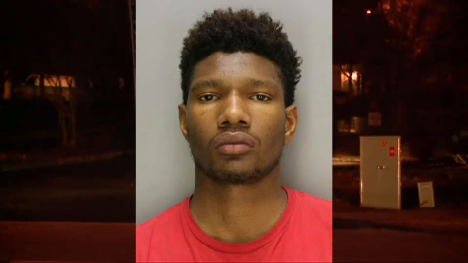 6-week-old puppy still has pellets in body after being shot 18 times with BB guns; 2 teens charged - image