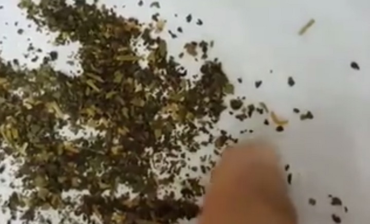 Worms or lemon flavouring?.