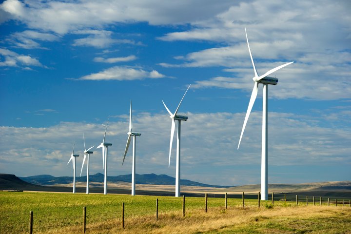 Alberta suspends approvals for green energy projects, like wind or solar power