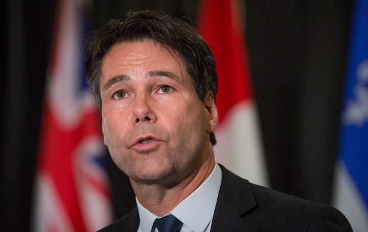 Ontario Health Minister Dr. Eric Hoskins says the province will offer genital transition surgery for the first time next year.