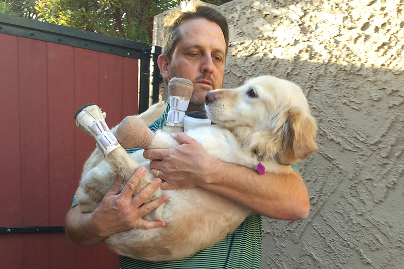 Richard Howell carries Chi Chi, a golden retriever mix, at his home in Phoenix.